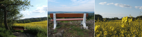 Wanderwege in Sankt Wendel